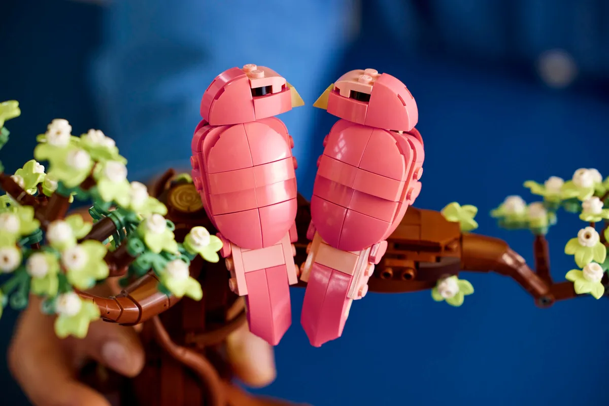 Love Birds - Image 3
