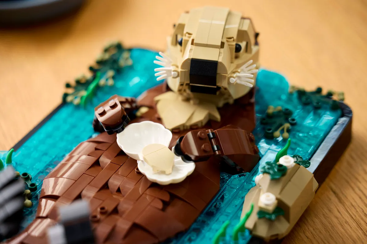 Floating Sea Otters - Image 3