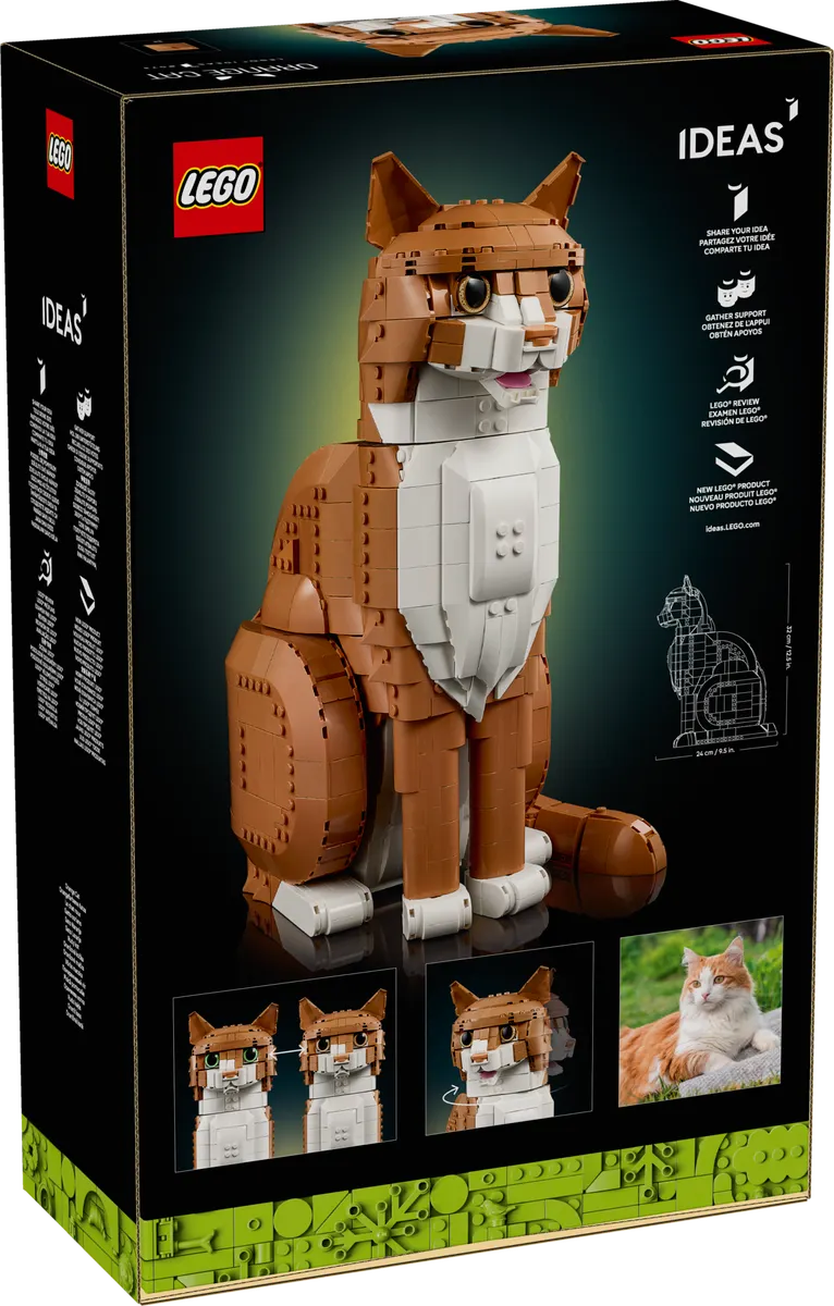 Orange Cat - Image 12