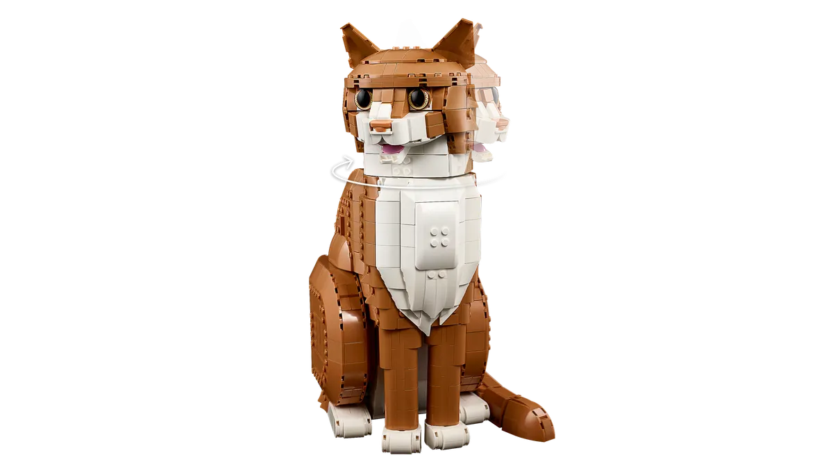 Orange Cat - Image 4