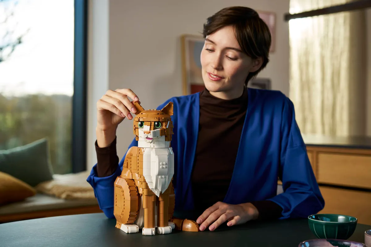 Orange Cat - Image 9