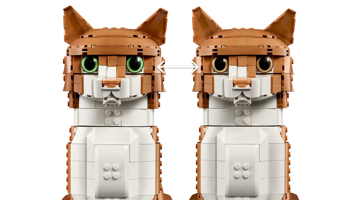 Orange Cat - Image 14