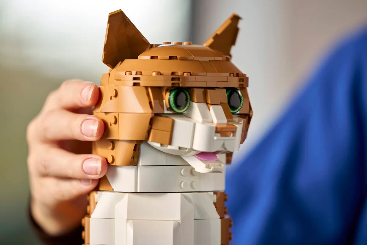 Orange Cat - Image 5