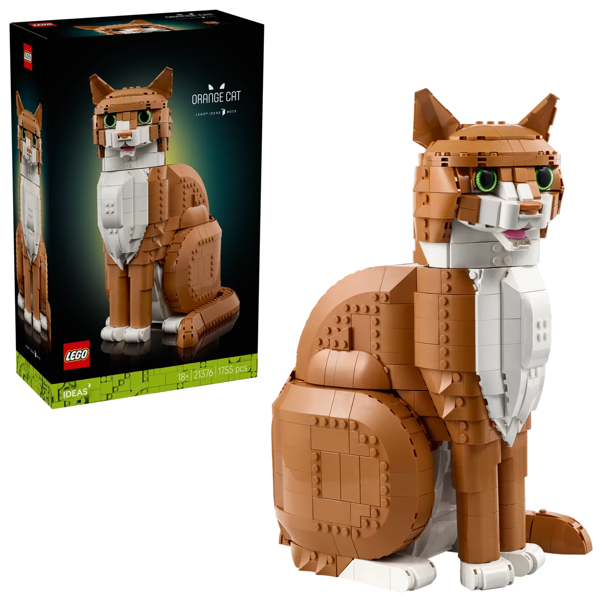 Orange Cat - Image 15