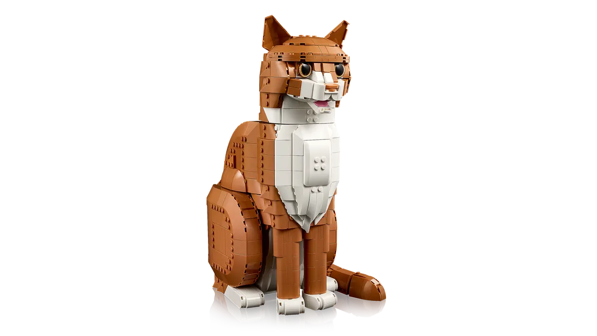 Orange Cat - Image 8
