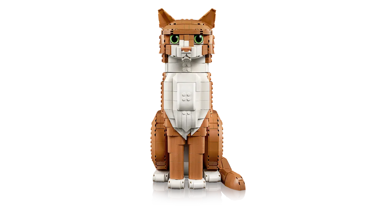 Orange Cat - Image 11