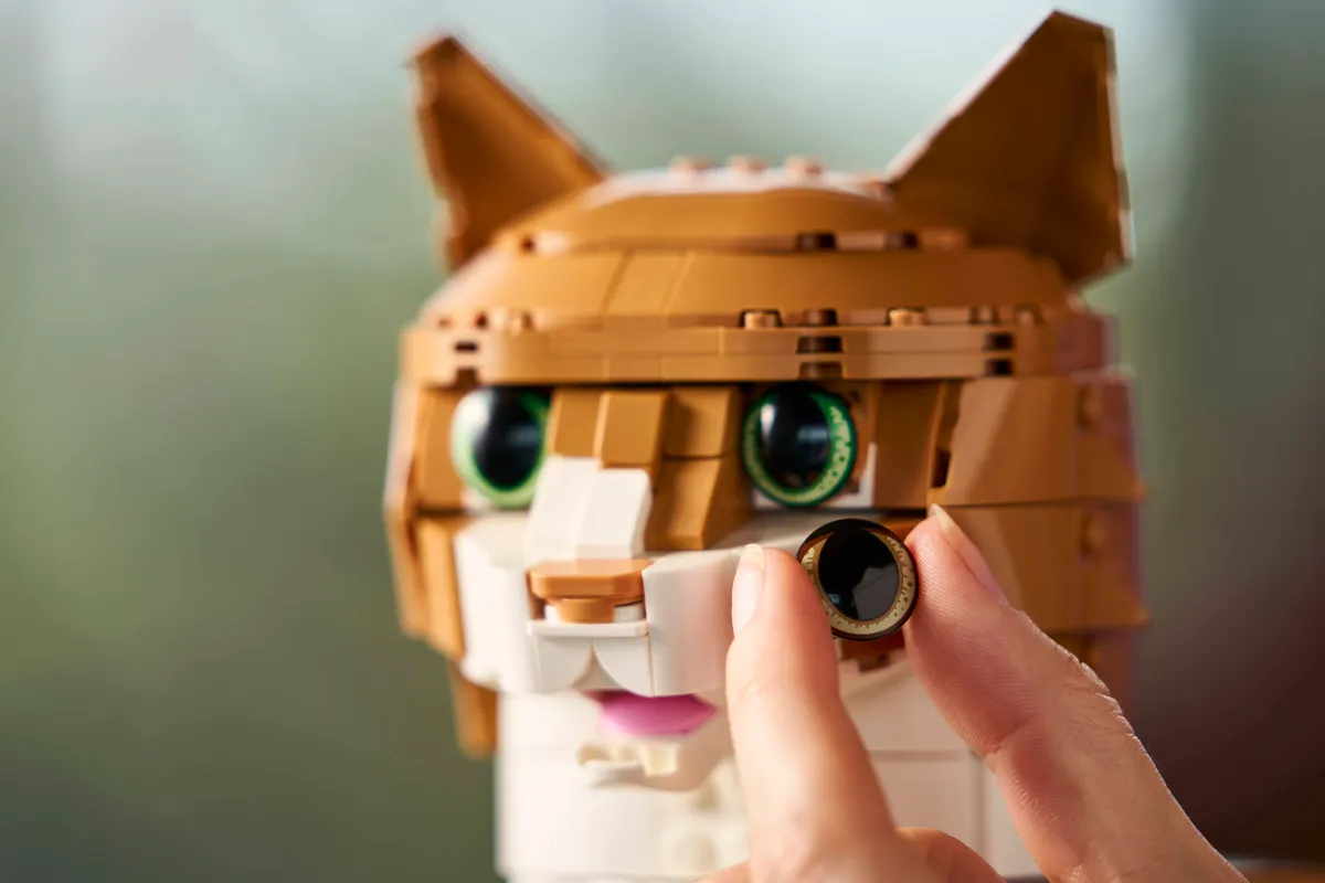 Orange Cat - Image 10