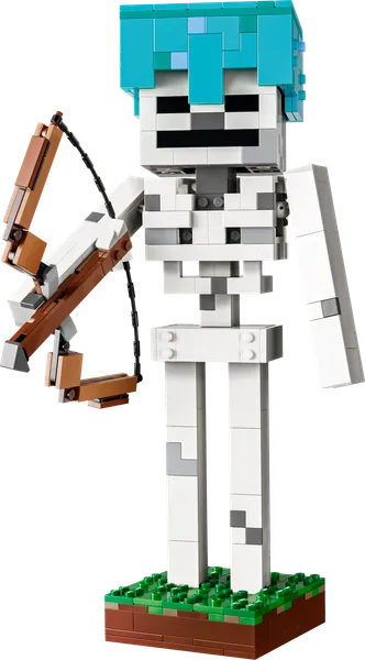 The Skeleton
