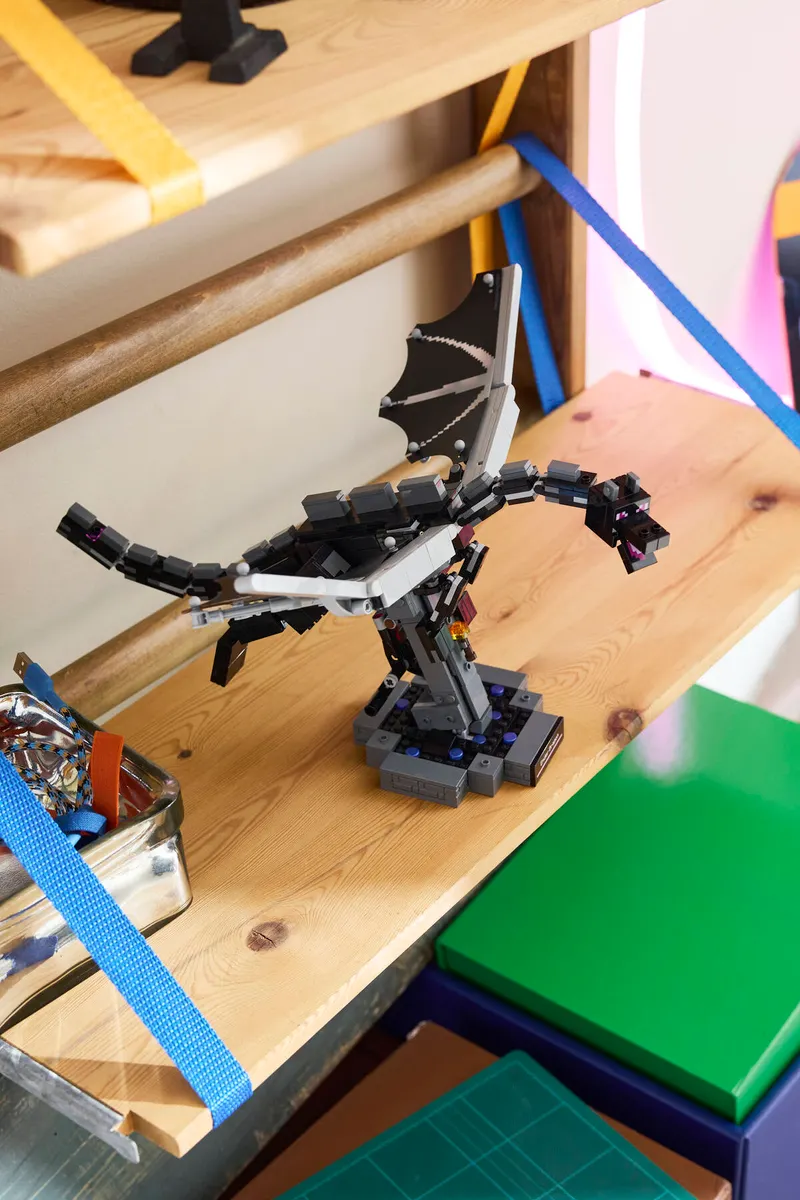 The Ender Dragon - Image 14