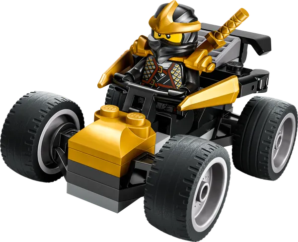 Ninja Cole's Car