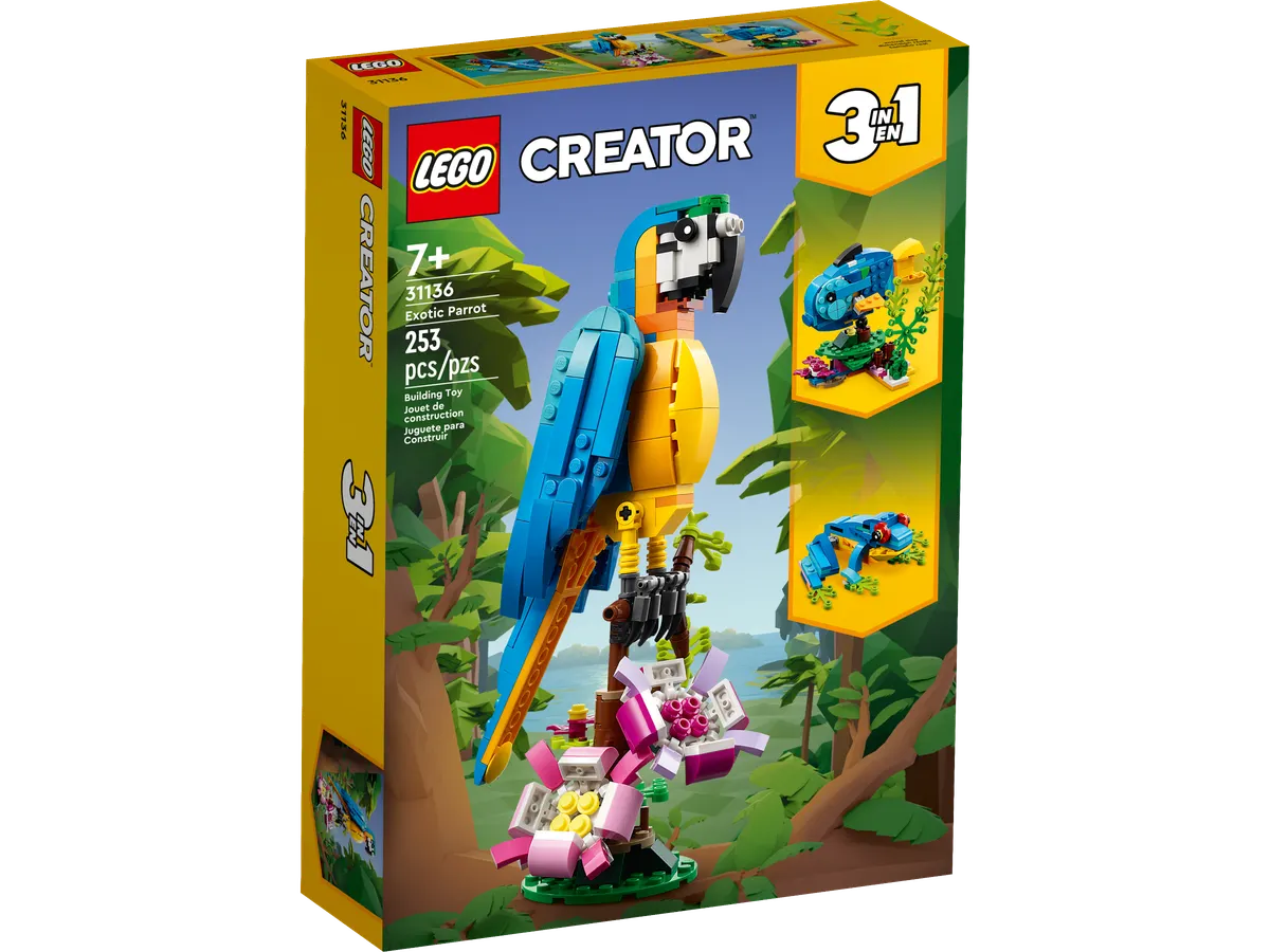 Exotic Parrot - Image 2