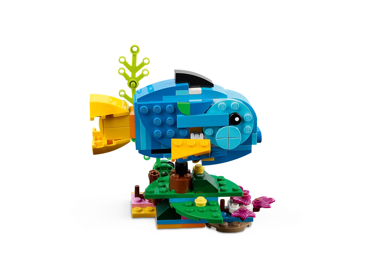 Exotic Parrot - Image 7