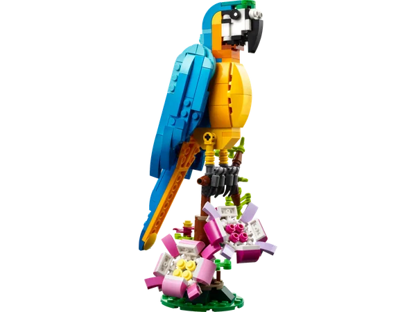 Exotic Parrot