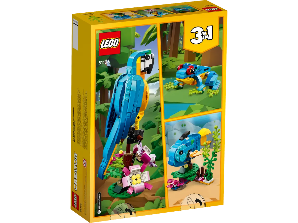 Exotic Parrot - Image 8