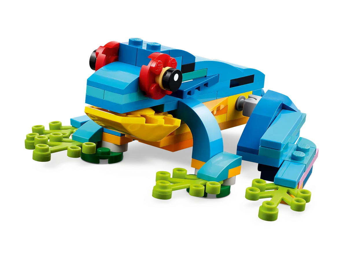 Exotic Parrot - Image 4