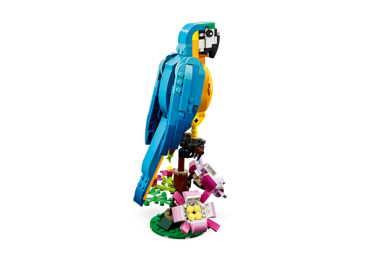 Exotic Parrot - Image 3