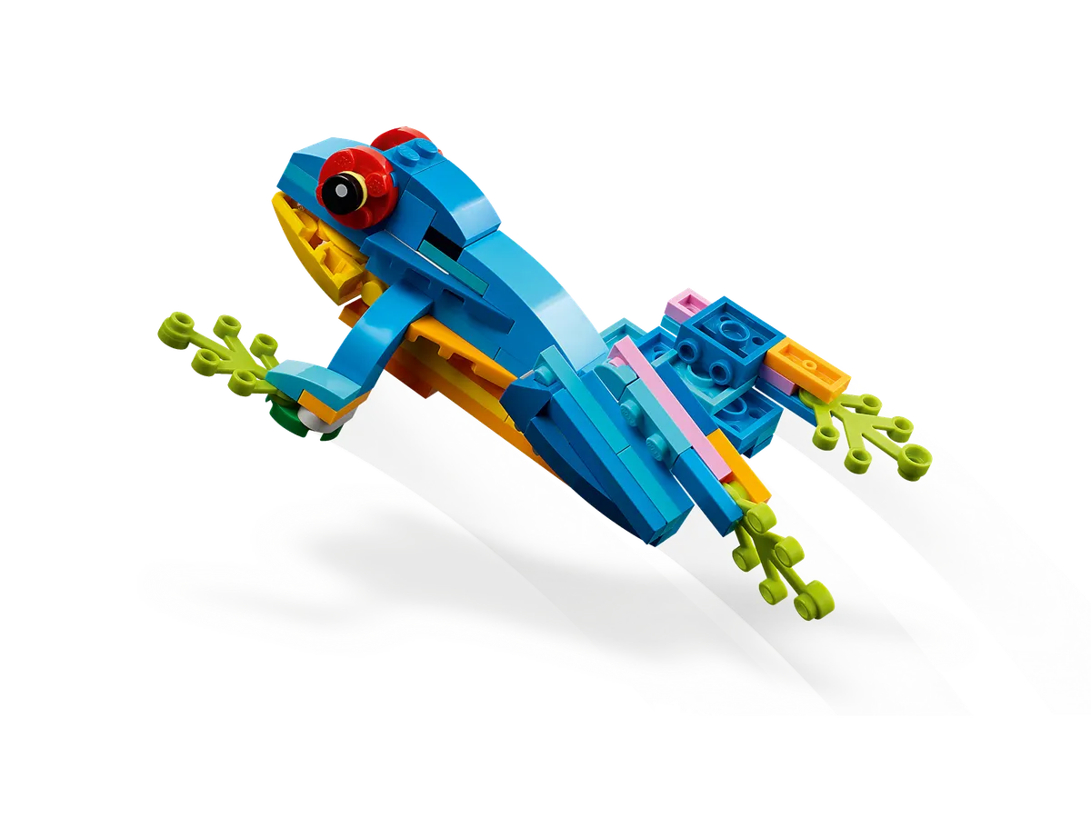 Exotic Parrot - Image 5