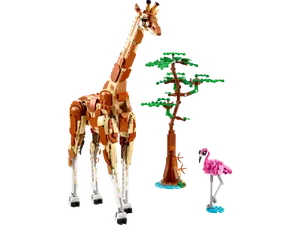 Wild Safari Animals