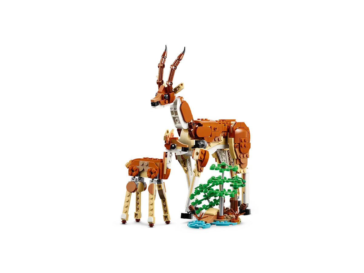Wild Safari Animals - Image 7