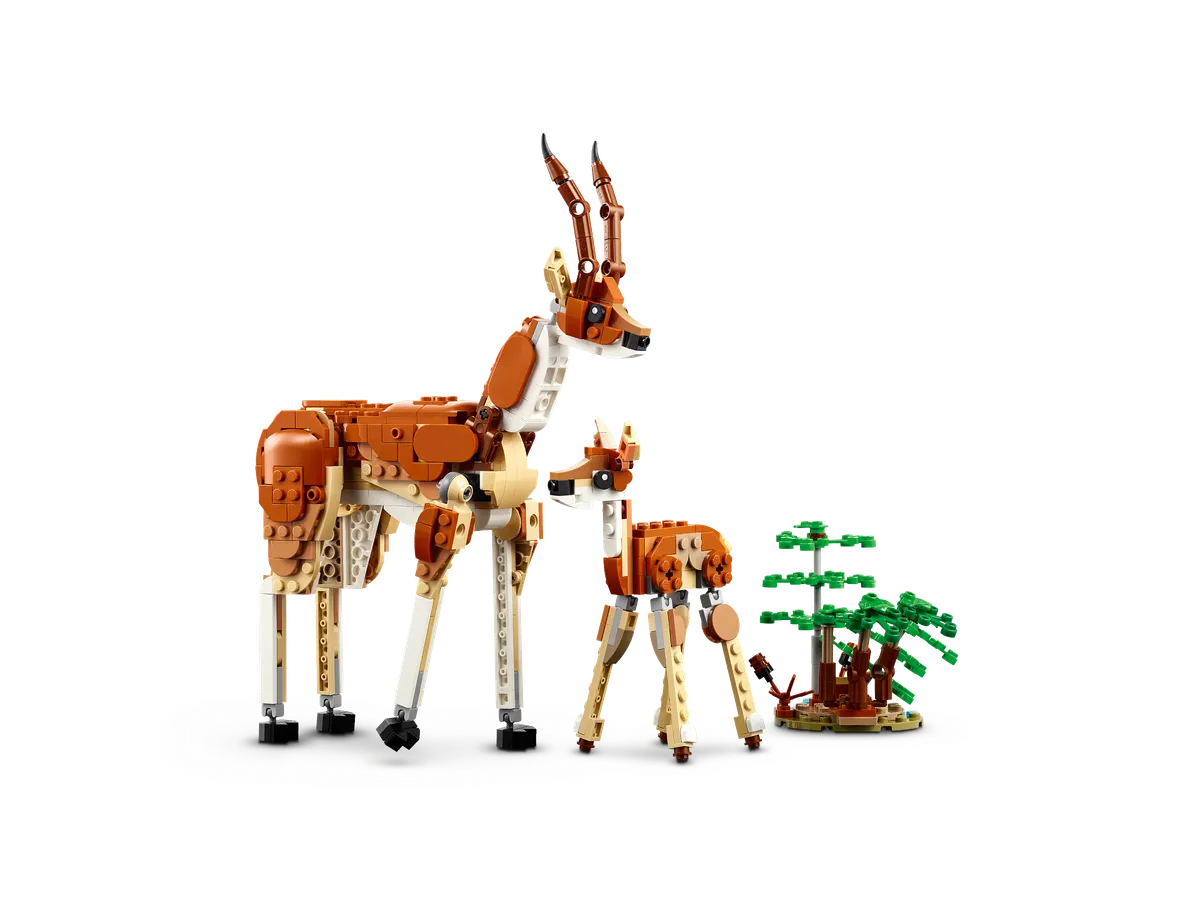 Wild Safari Animals - Image 6