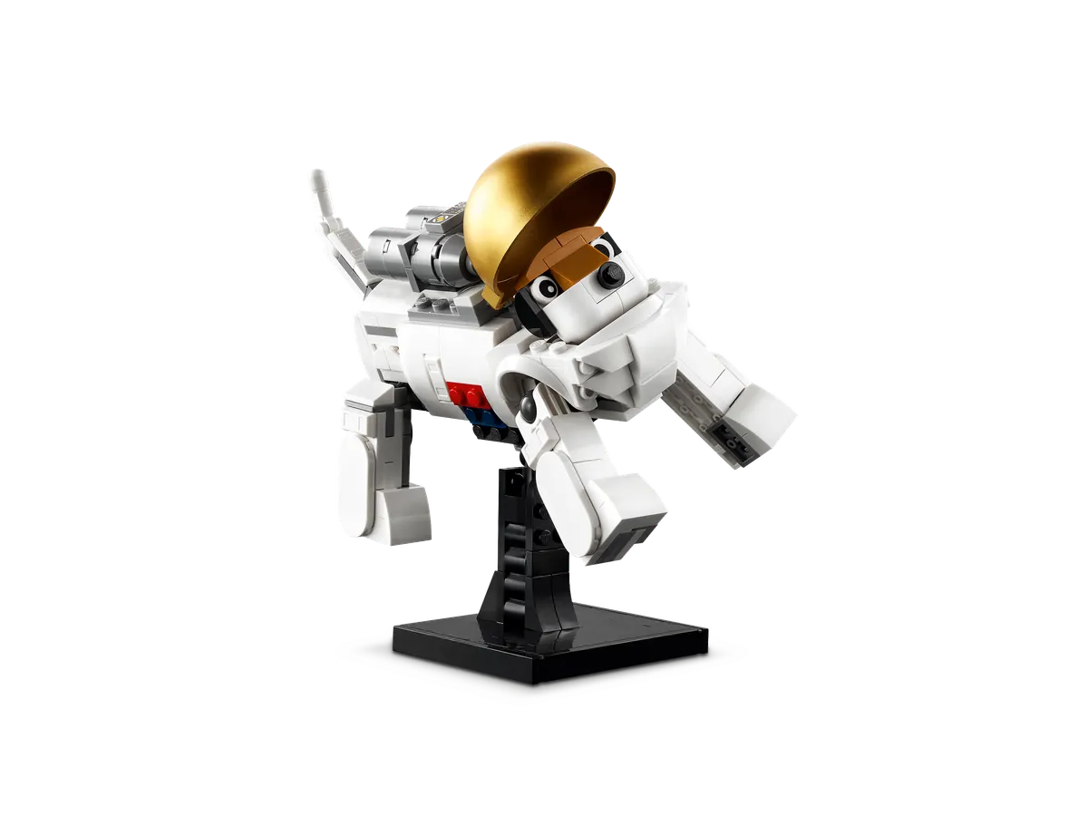Space Astronaut - Image 7