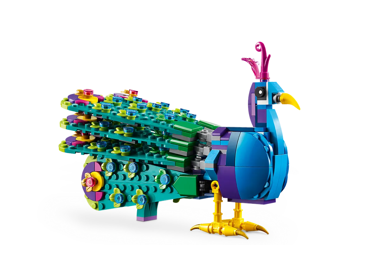 Exotic Peacock - Image 3
