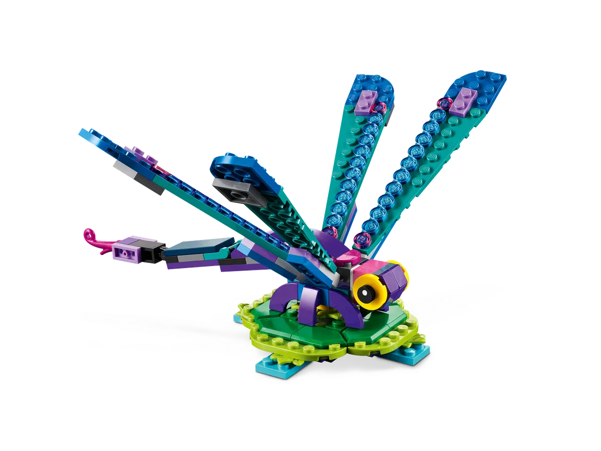 Exotic Peacock - Image 4