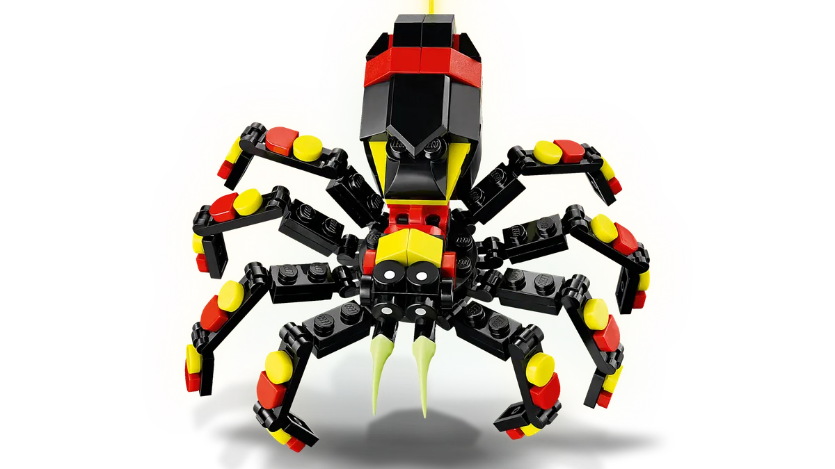 Wild Animals: Surprising Spider - Image 7