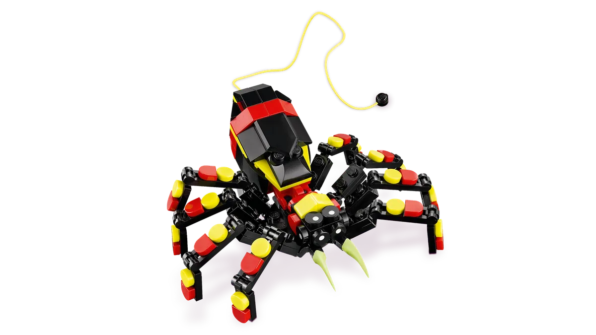 Wild Animals: Surprising Spider - Image 13