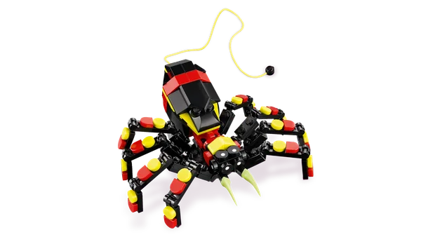 Wild Animals: Surprising Spider
