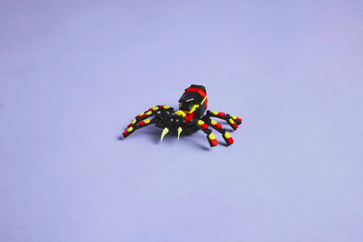 Wild Animals: Surprising Spider - Image 3