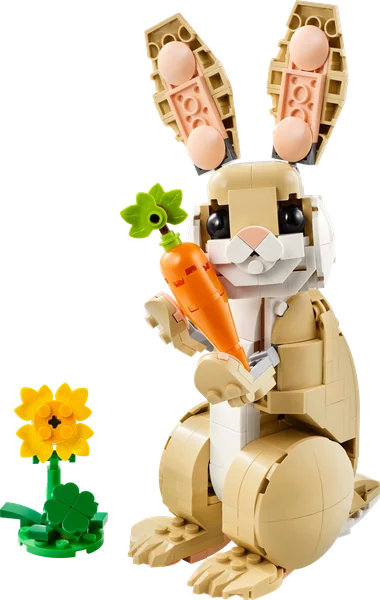 Cute Bunny