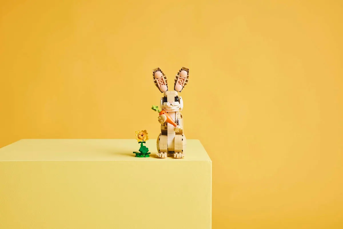 Cute Bunny - Image 7