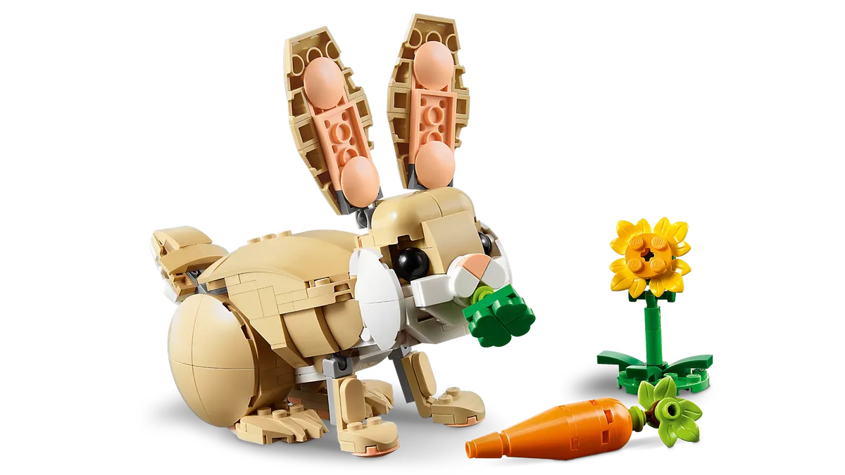 Cute Bunny - Image 13
