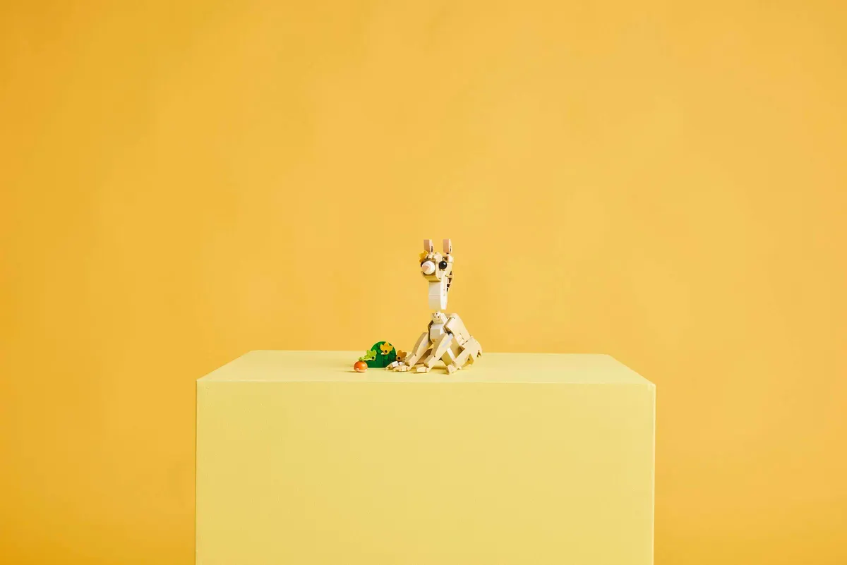 Cute Bunny - Image 5