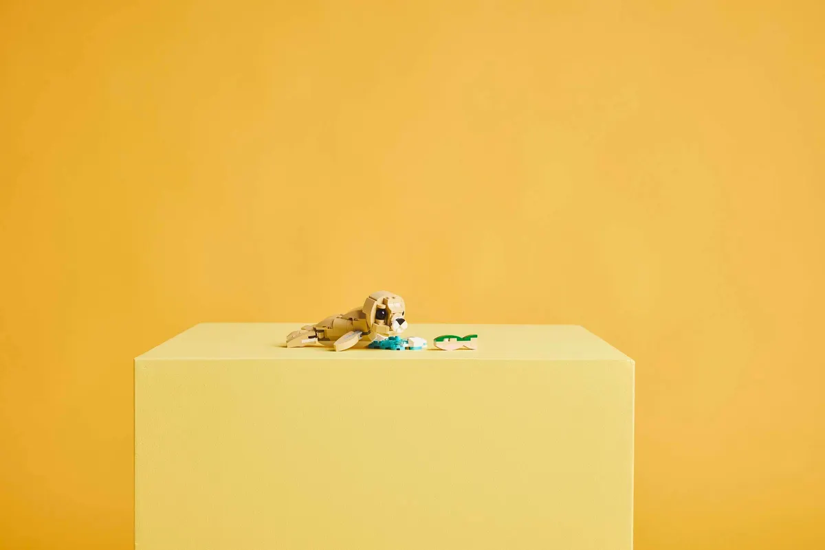 Cute Bunny - Image 6
