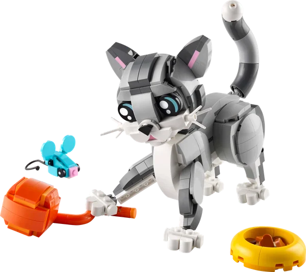 Playful Cat