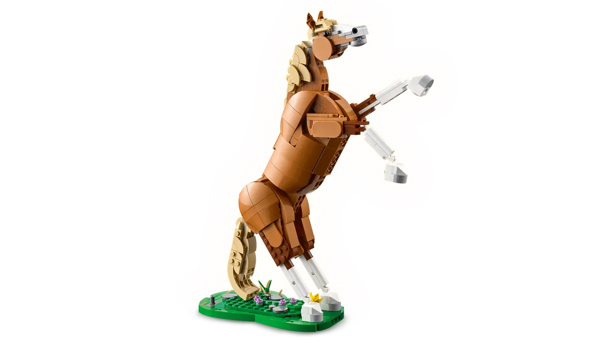 Beautiful Horse - Image 9