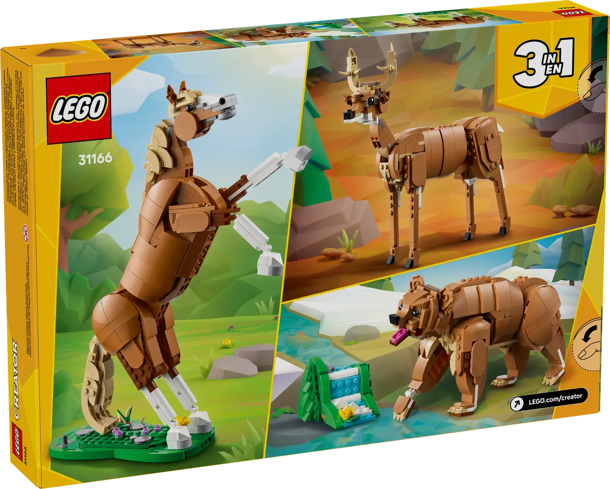 Beautiful Horse - Image 7