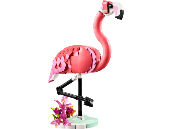 Wild Animals: Pink Flamingo