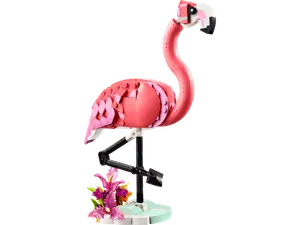 Wild Animals: Pink Flamingo