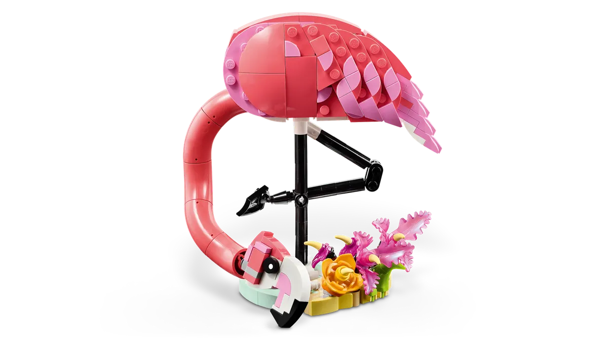 Wild Animals: Pink Flamingo - Image 10