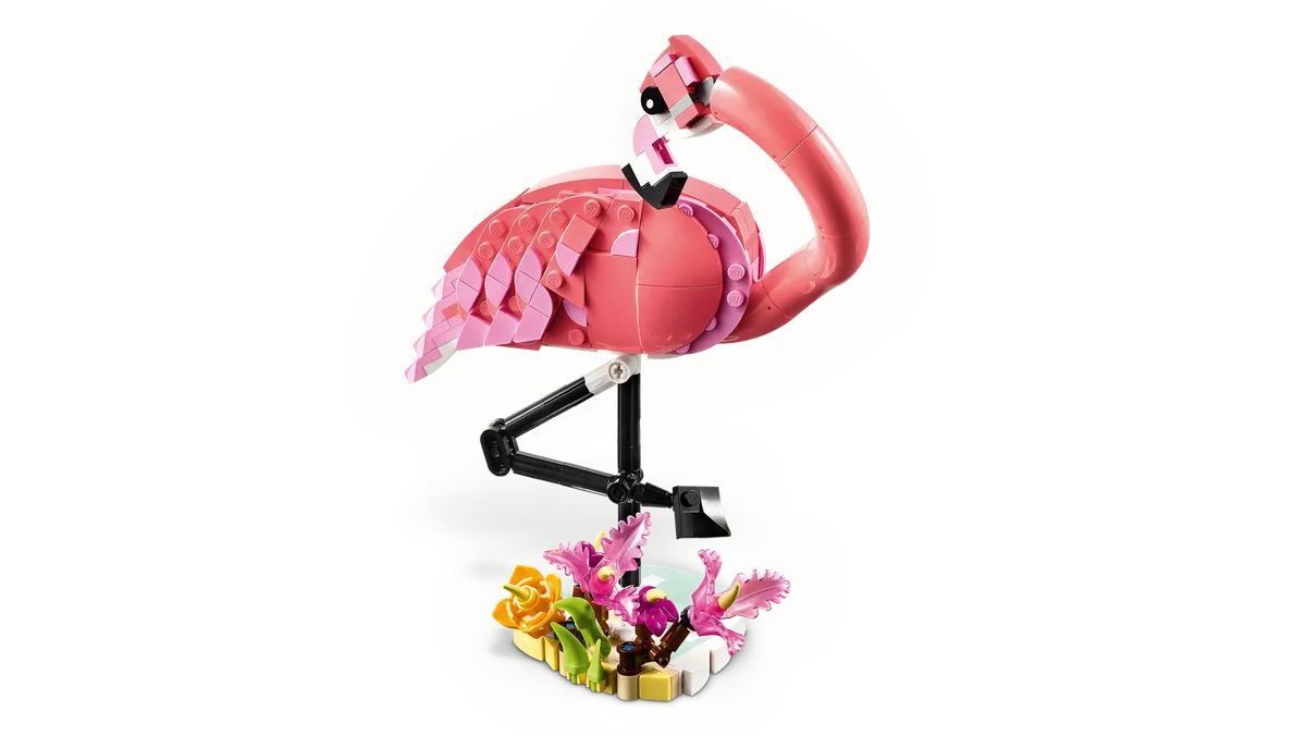 Wild Animals: Pink Flamingo - Image 12