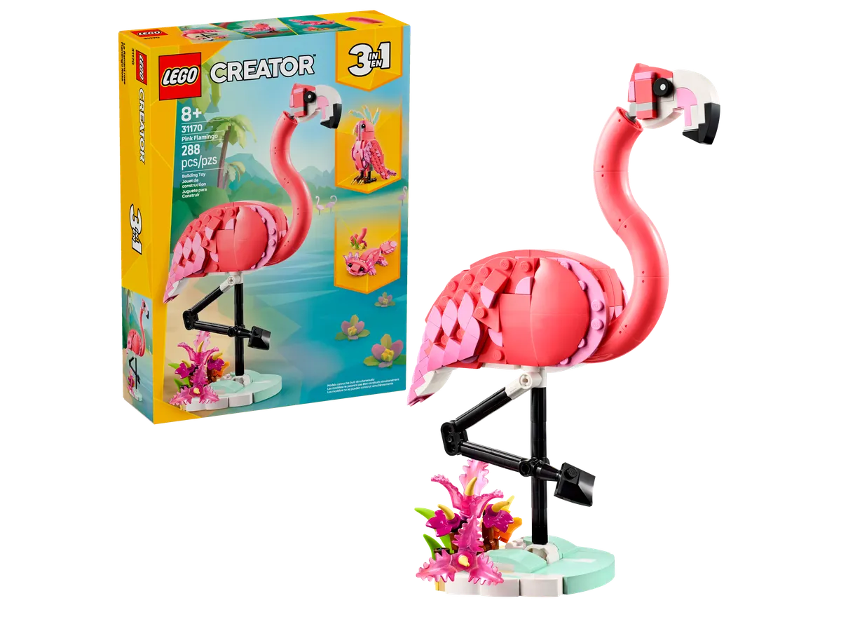 Wild Animals: Pink Flamingo - Image 2