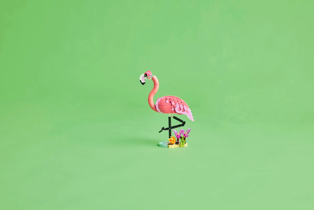 Wild Animals: Pink Flamingo - Image 4