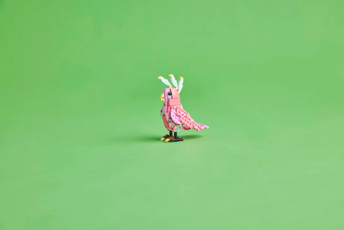 Wild Animals: Pink Flamingo - Image 5