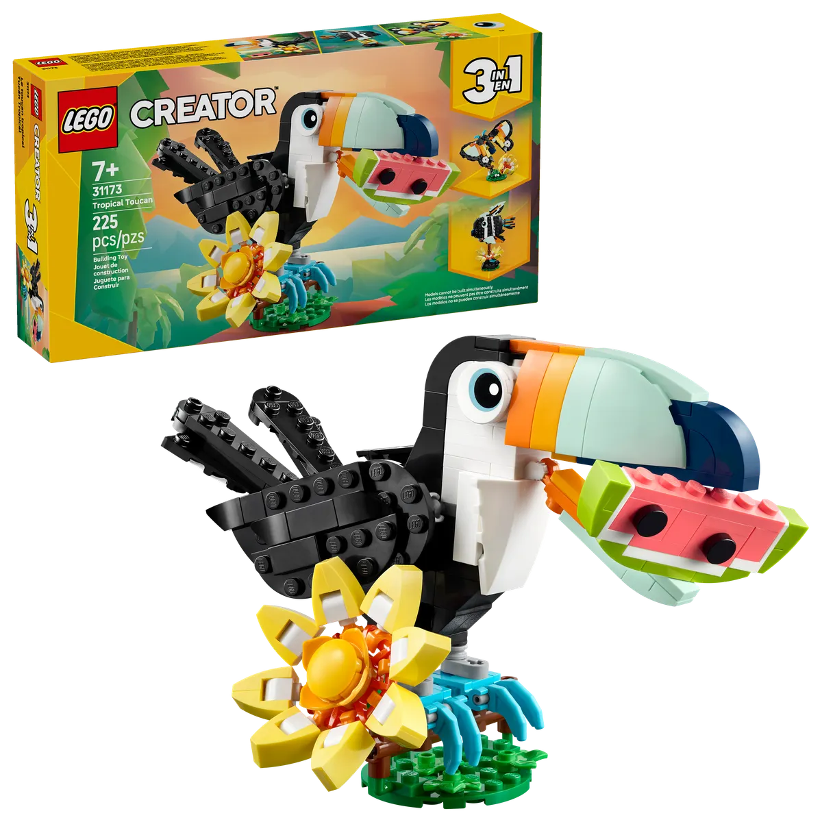 Wild Animals: Tropical Toucan - Image 2