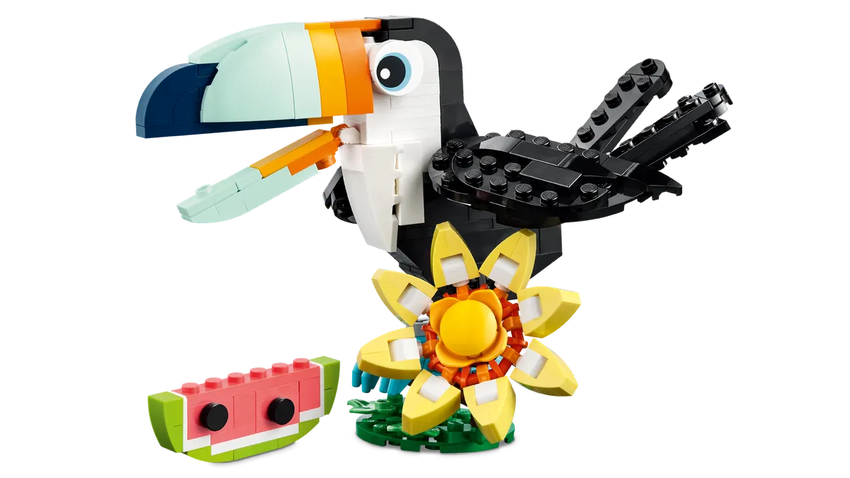 Wild Animals: Tropical Toucan - Image 10
