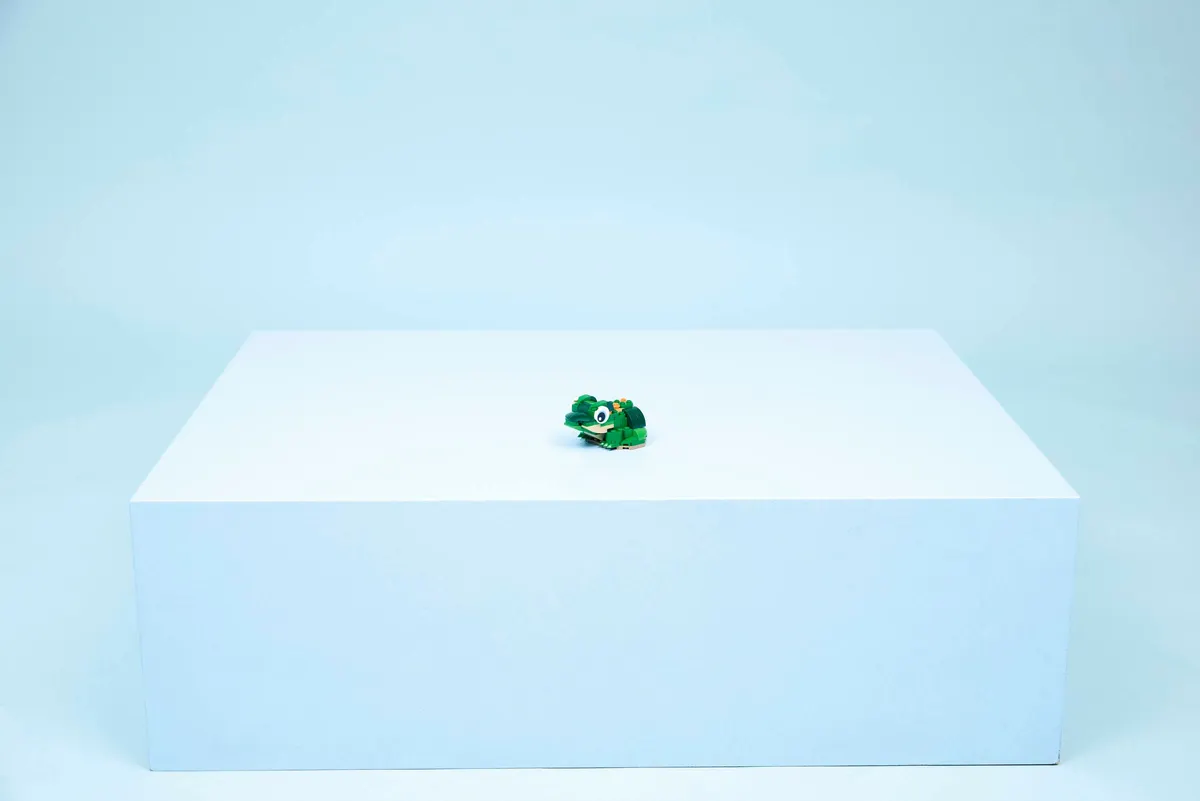 Turtle with a Water Lily Flower - Image 7