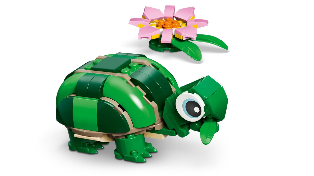 Turtle with a Water Lily Flower - Image 10